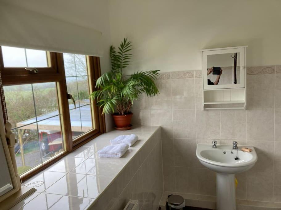 Bryntirion Farmhouse Rooms Llanfair Caereinion ภายนอก รูปภาพ